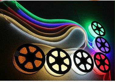 Luz de tira Driverless do diodo emissor de luz da alta tensão do RGB, cor completa de RoHS que muda a tira do diodo emissor de luz