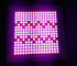 luzes azuis/vermelhas de 45W do diodo emissor de luz da iluminação, painel crescem claras com material plástico