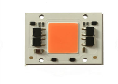 Microplaqueta conduzida do preço de fábrica espectro completo Driverless ESPIGA de 100 watts conduzida para a luz Grow